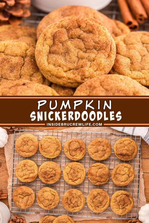 Get ready for the highlight of the season with our Pumpkin Snickerdoodles! These amazing cookies have a soft, chewy texture and a rich, warm spice flavor. They're perfect for fall gatherings or enjoying with a cup of coffee. You're in for a treat! Pumpkin Snickerdoodle Cookie Recipe, Frosty Recipe, Pumpkin Snickerdoodles, Amazing Cookies, Fall Baking Recipes, Snickerdoodle Cookies, Holiday Party Foods, Snickerdoodle Cookie Recipes, Pumpkin Recipes Dessert