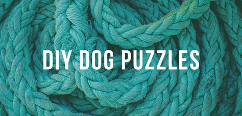 Dog Food Puzzles Diy, Diy Dog Puzzles Brain Games, Snuffle Mat Diy, Diy Dog Puzzles, Dog Boredom Busters Diy, Puppy Whelping, Dog Boredom Buster, Dog Boredom, Dog Kennel Designs