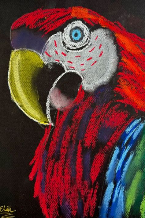 Visit the link to see more chalk pastel parrots created by kids ages 6-13! They are so vibrant and beautiful! Chalk pastels make a statement on black paper. Follow for more art ideas for kids. Spring Art Ideas For Kids, Pastel Drawing On Black Paper, Art With Pastels, Chalk Pastel High School Art Projects, Animal Art Projects For Kids, Pastel Chalk Art, Chalk Pastel Art Projects Middle School, Glue And Chalk Pastel Art Lessons, Chalk Pastel Art Ideas