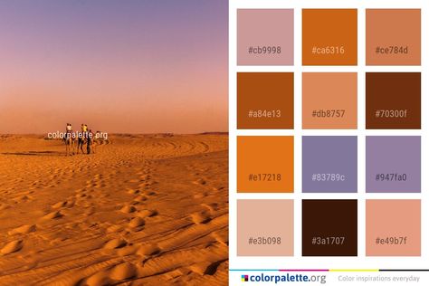 Sky Color Palette, Yoga Branding Design, Terracotta Color Palette, Graphics Design Inspiration, Collection Board, Sunset Palette, Stella Luna, Colors Inspiration, Names List