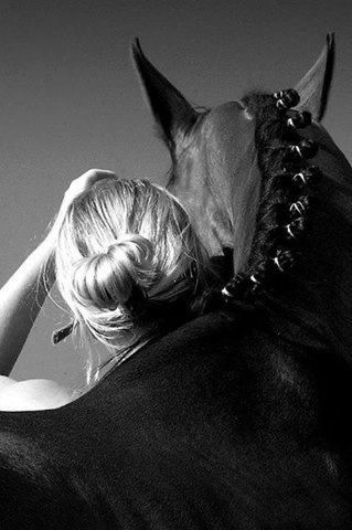 Equestrian Photoshoot, Equine Photography Poses, Horse Photography Poses, Caring For Others, Infused With Love, Equestrian Aesthetic, Equine Portraits, Horse Inspiration, Robert Mapplethorpe