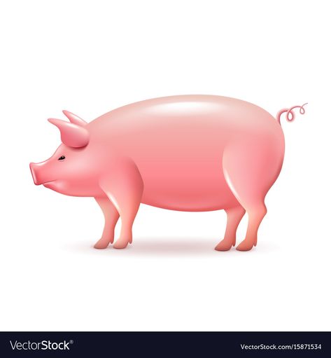 Pig Side View, Side View Drawing, Pig Drawing, I Cord, Side View, Paper Mache, Transparent Png, Piggy Bank, Png Images