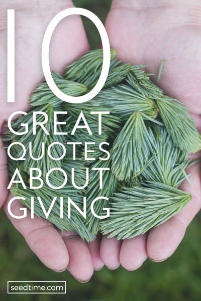 My goal is to increase my generosity and begin to give more. To become inspired, I've found 10 great quotes about giving and I've including some bible verses on giving, too. Be sure to check out the John Wesley quote, it's one of my favorites! #givingquotes #quotes #givingtoothers #givingback #givingtoGod Quotes On Giving, Generosity Quotes, Quotes About Giving, Donation Quotes, Charity Quotes, Giving Quotes, My Favorite Quotes, Quotes Bible, 10th Quotes