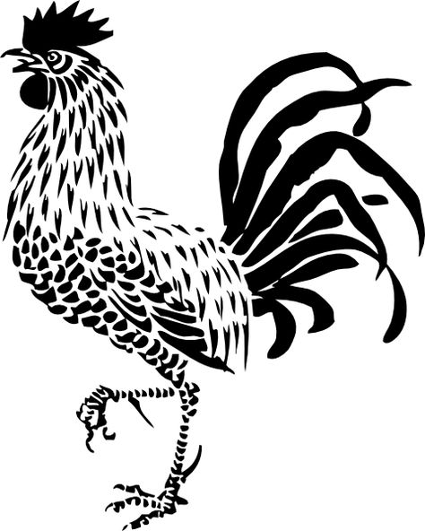 rooster drawing - Google Search Stencil Bird, Rooster Stencil, Stencils Design, Bird Stencil, Damask Stencil, Rooster Art, Karim Rashid, Design Restaurant, Faux Painting