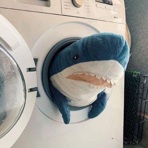 Ikea Shark Plush, Blahaj Shark, Ikea Shark, Shark Plush, Cute Shark, Blue Shark, Dark Grunge, Cute Stuffed Animals, 壁紙 かわいい