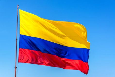 Significado de la bandera y el escudo de Colombia. La bandera colombiana forma parte, junto con el escudo y el himno nacional, de los símbolos patrios de este país, está conformada por... Colombia Country, Colombian Flag, Colombian Culture, Colombia Flag, Drum Patterns, National Flags, Colombia South America, Face Painting Designs, Carthage