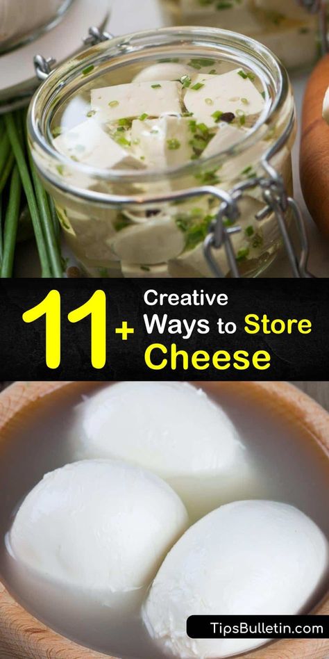 Store a wide range of soft and hard cheeses without jeopardizing the texture. From parmesan to blue cheese, and from brie to mozzarella, these cheeses can all be wrapped in wax paper or parchment paper instead of a plastic bag to extend their shelf life. #howto #storage #cheese How To Make Parmesan Cheese, How To Store Cheese, Canned Cheese, Cheese Benefits, Homemade Mozzarella Cheese, Yogurt Making, Recipes With Parmesan Cheese, Cheese Making Recipes, Cheese Store