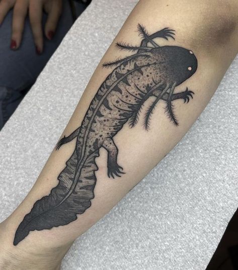 Traditional Axolotl Tattoo, Axolotl Tattoo Ideas, Blackwork Animal Tattoo, Axolotl Tattoo Design, Coelacanth Tattoo, Isopod Tattoo, Axolotl Tattoo, Axolotl Drawing, Jackalope Tattoo