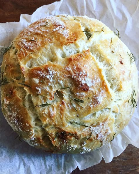 Rosemary and Roasted Garlic Artisan Bread Cheese Bread Recipe, Oven Bread, Dutch Oven Bread, Jalapeno Cheese, Breads And Pastries, Artisan Bread Recipes, Cloud Bread, Bread Of Life, Breaking Bread