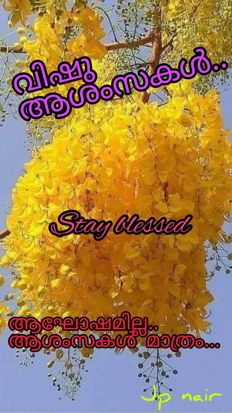 Kerala vishu wishes. Vishu Wishes, Vishu Images, Happy Vishu, Good Morning Happy Saturday, Flower Wallpapers, Cute Flower Wallpapers, Good Morning Happy, Biblical Quotes, Happy Saturday