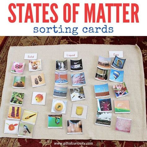 Free printable States of Matter sorting cards for kids to learn about solids, liquids, and gasses. Great science activity for preschool or kindergarten. Science Kindergarten, Matter Activities, Grade 2 Science, Second Grade Science, 1st Grade Science, Matter Science, States Of Matter, Science Activities For Kids, Cards For Kids