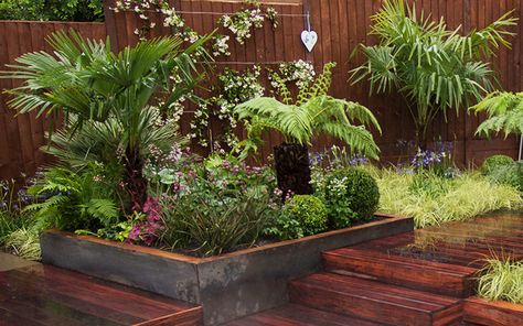 Tropical Plants Uk, Tropical Garden Plants, Garden Ideas Uk, Love Your Garden, Small Tropical Gardens, Alan Titchmarsh, Plants Uk, Tropical Garden Design, Jungle Gardens