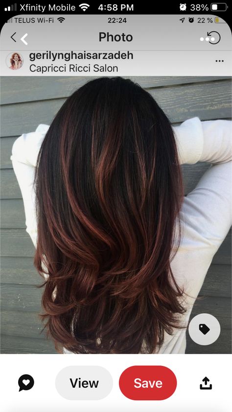 Brown Bayalage Hair, Auburn Hair With Highlights, Red Highlights In Brown Hair, Dark Auburn Hair, Auburn Balayage, Warm Scarves, Brown Hair Inspo, Dark Red Hair, Black Hair With Highlights