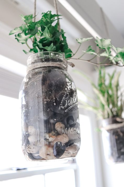 Hanging Glass Jars, Jar Hanging Diy, Glass Jar Planters Diy, Hanging Bottle Planters, Glass Planter Ideas, Hanging Test Tube Plants Diy, Glass Jar Hanging Planters Diy, Plants In Glass Jars Water, Decorating Glass Jars