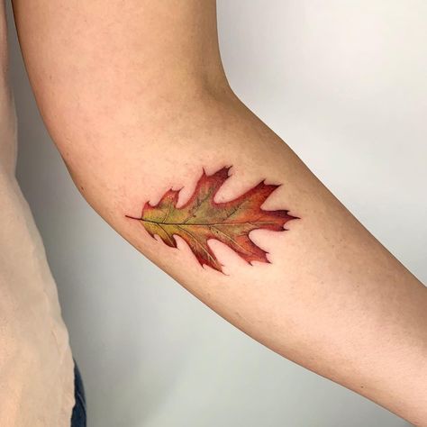 𝗞𝗮𝘁𝗲 𝗦𝘃 | 𝗧𝗮𝘁𝘁𝗼𝗼 𝗔𝗿𝘁𝗶𝘀𝘁, LA on Instagram: “Red oak leaf for Emi @emikatrinamaminababina ▪️▪️▪️▪️▪️▪️▪️▪️▪️▪️▪️▪️▪️▪️ For custom designs and bookings email me katesv.art@gmail.com…” Red Oak Leaf Tattoo, Red Leaf Tattoo, Sv Tattoo, Oak Tree Leaf Tattoo, Oak Leaf Tattoo, Oak Tattoo, Oak Leaf Tattoos, Net Tattoo, Quill Tattoo