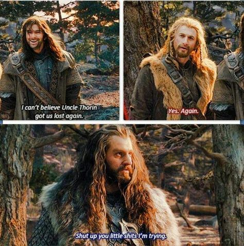 The Desolation of Smaug Hobbit Funny, Lotr Funny, Fili And Kili, Thorin Oakenshield, An Unexpected Journey, Tauriel, The Shire, Thranduil, Jrr Tolkien