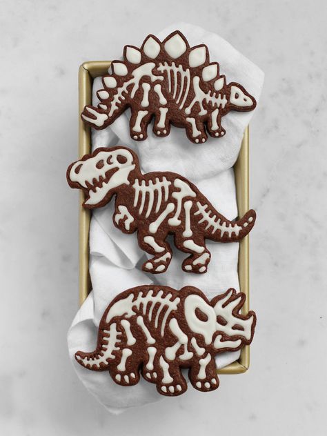 Dinasour Cookies Ideas, Dinosaur Ravioli, Dinosaur Cookie Cake, Dinosaur Cookies Royal Icing, Icing Dinosaur, Dinosaur Recipes, Dinosaur Theme Cookies, Dinosaur Cookies Decorated, Christmas Dinosaur Cookies