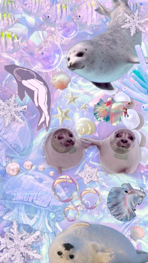 Seal Wallpaper, Swag Wallpaper, Iphone Wallpaper Cat, Cute Seals, Cocoppa Wallpaper, Computer Wallpaper Desktop Wallpapers, Cute Shark, Aura Colors, Cute Animals Images