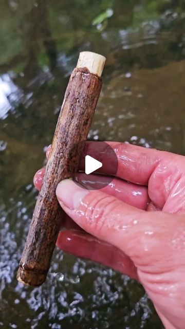 John on Instagram: "Making a bushcraft match tube using knotweed

#bushcraft #outdoors #camping #reels #outdoorlife #diy #diy #selfreliance #campinglife #survival" Diy Camping Gear, Survival Hacks Diy, Diy Bushcraft, Bushcraft Projects, Forest Survival, Bushcraft Essentials, Camping Gear Diy, Bushcraft Shelter, Primitive Survival