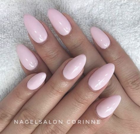 Trending Nail Extension Designs 2023, Simple Almond Nails Designs Pink, Ballet Pink Acrylic Nails, Pale Pink Oval Nails, Ballerina Pink Almond Nails, Plain Round Nails, Pale Pink Dip Nails, Light Pink Oval Acrylic Nails, Pail Pink Nails