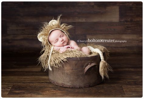 Newborn Lion Costume, Jungle Newborn Photography, Safari Newborn Photoshoot, Lion Newborn Photography, Lion Hat, Lion Photography, Lion Costume, Newborn Photo, Photo Inspo