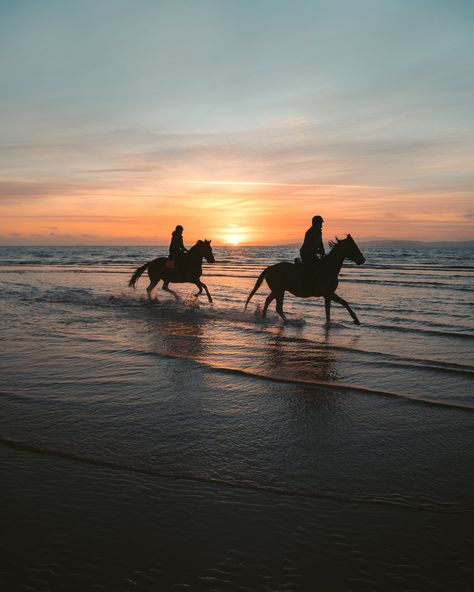 Horseback Riding Aesthetic, Horse Couple, Foto Cowgirl, Equestrian Aesthetic, Cute Horse Pictures, Horse Wallpaper, Horse Aesthetic, Equestrian Life, Cute Horses