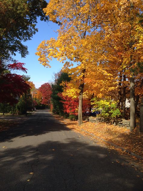 Scarsdale New York Fall Small Town New York, Natasha Trace, Scarsdale New York, Naval Aviator, Beautiful Scenes, Lovely Places, Currier And Ives, New York Fall, Small Town