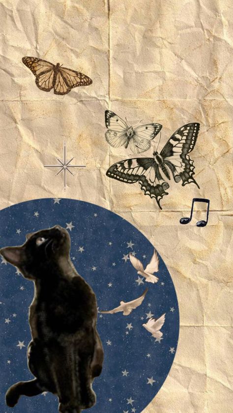 Wallpaper Iphone Heart, Cat Butterfly Wallpaper, Black Cat Wallpaper, Cat Collage Wallpaper Desktop, Black Cat Collage Wallpaper, Cats Collage, Cat Collage Aesthetic, Cat Patterns, Cat Collage