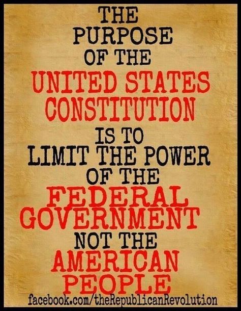 What I Like About You, The Dictator, United States Constitution, Federal Government, The Don, Benjamin Franklin, American People, Founding Fathers, The Resistance