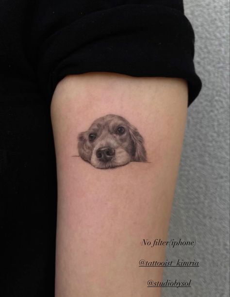 Dog Greif Tattoo, Dog Tattoo Cocker Spaniel, Cocker Spaniel Tattoo, Simple Dog Portrait Tattoo, Small Dog Portrait Tattoo, Small Pet Portrait Tattoo, Tattoo Ideas Memorial, Dog Tattoo Ideas Memorial, Dog Portrait Tattoo Ideas