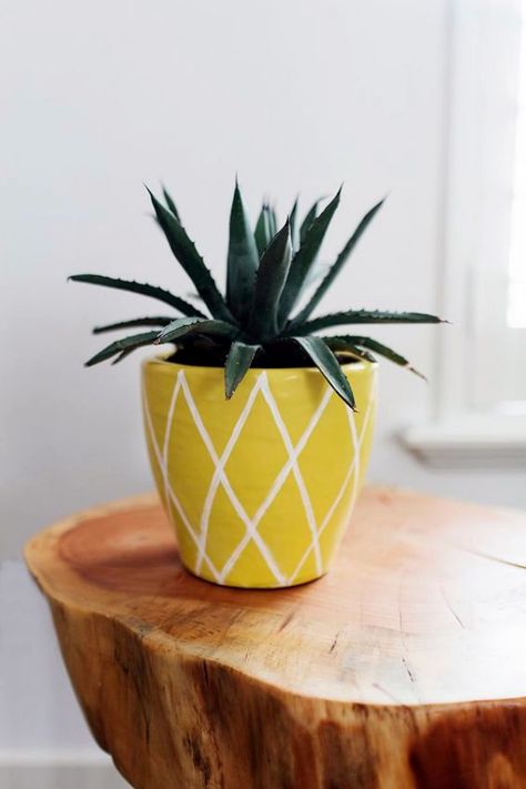 Yellow Plant Pot, Cute Pot Designs, Succulent Pots Diy, Easy Pottery, Magazine Diy, Pineapple Plant, Diy Pineapple, Pot Diy, Pineapple Planting