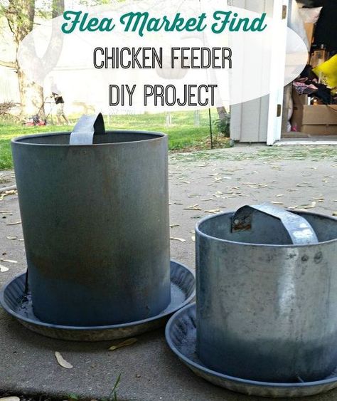 Chicken Feeder Decor, Galvanized Storage, Chicken Feeder Diy, Chicken Items, Olive Bucket, Chicken Waterer, Chicken Feeders, Chicken Feeder, My Own Home