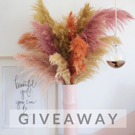 Pampas Grass Bud Vase, Colored Pampas, Colorful Homes, Dorm Apartment, Cabin Wedding, Pampas Grass Decor, Cake Inspo, Dry Flowers, Preserved Flowers