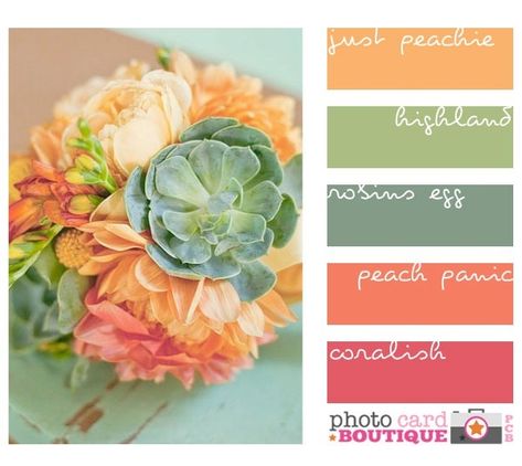 Colors w/ copper accents Peach And Green, Color Palate, Colour Schemes, Color Swatches, Color Pallets, Color Themes, Color Theory, Room Colors, Pretty Colours