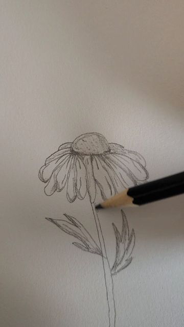 Daisy Sketch Simple, How To Draw A Daisy, Ways To Worship God, Draw A Daisy, Drawings Of Flowers, Pencil Drawings Of Flowers, Diy Fish Tank, Painted Cards, Cards Simple