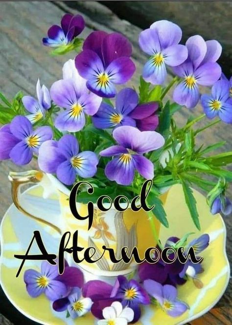 Good Afternoon Sunday, Have A Nice Afternoon, Wonderful Day Quotes, Fijian Food, Afternoon Messages, Afternoon Wishes, Purple Pansies, Good Afternoon Quotes, Afternoon Quotes