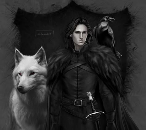 KOLUMNIST on Tumblr Jon Snow Book Fan Art, Jon Snow Book Art, Jon Snow Book, Jon Stark, Asoiaf Characters, Jon Snow Art, John Snow, Dragon House, Fire Fans