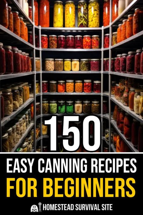 Canning Recipes For Beginners, Easy Canning Recipes, Recipes For Beginners Easy, Easy Canning, Pressure Canning Recipes, Canning 101, Home Canning Recipes, Canning Vegetables, Canning Food Preservation