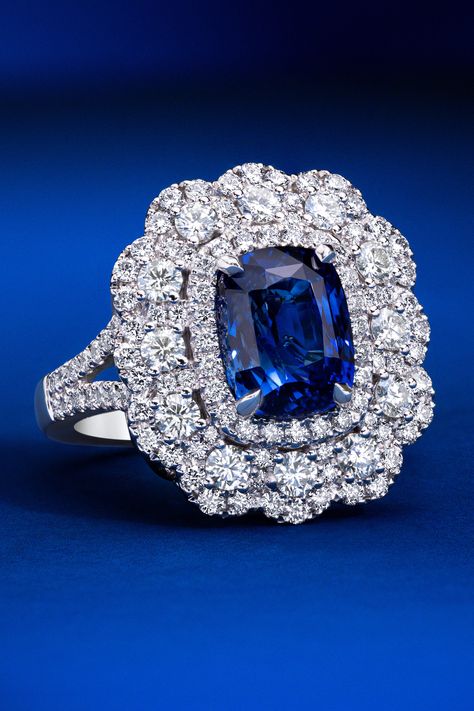 A floral halo of pristine detail. Detailed adornments of Vanilla Diamonds. A four carat center stone of Blueberry Sapphire. Pure Le Vian Platinum. A one-of-a-kind treasure. 💍 #ring #diamonds #sapphire #carats #couture Le Vian Jewelry, Rings Sapphire, Levian Jewelry, Fancy Sapphire, Golden Rings, Diamond Earrings For Women, Sparkling Jewelry, Bvlgari Jewelry, Floral Halo