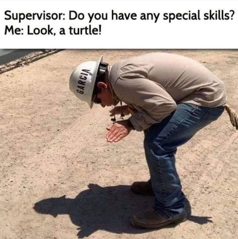 #turtles #workmemes #supervisor #workplace #job #jobmemes #ninetofive #funnymemes Meme Page, Science Humor, Daily Funny, Work Memes, Work Humor, Dad Jokes, Animal Memes, Bones Funny, Funny Laugh