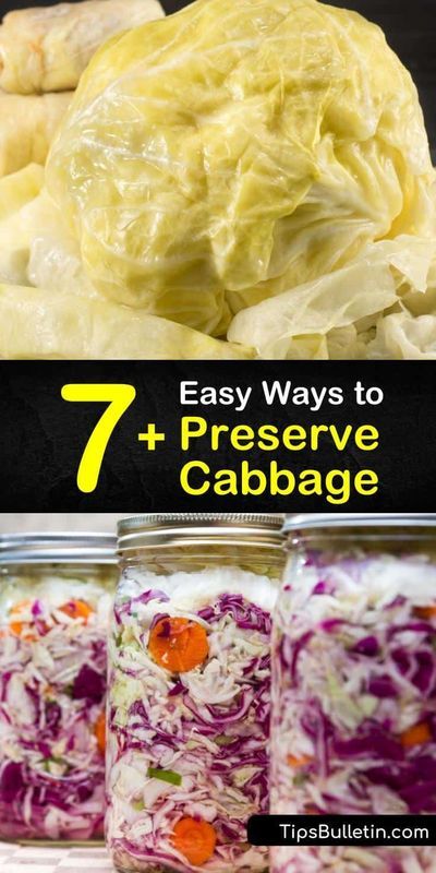 This is the ultimate guide for preserving fresh cabbage. These recipes walk you through blanching veggies, root cellar storage, frozen cabbage, and even coleslaw. Grab your favorite green, Napa, or red cabbage and eat this hearty veggie all winter long. #preserve #fresh #cabbage Canning Napa Cabbage, Spiced Cabbage Recipe, Preserving Cabbage Recipes, Canning Pickled Cabbage Recipe, Canning Red Cabbage Recipes, Freezing Cabbage Without Blanching, Canning Cabbage Recipes Water Bath, Cabbage Canning Recipes, Frozen Cabbage Recipes