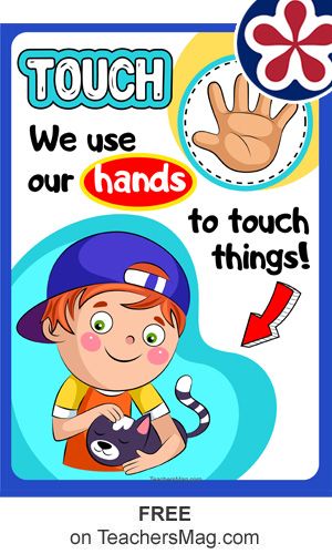 Touch: We use our hands to touch things! These 5 Senses Posters for Preschoolers will get little learners exploring the science center by using all five senses. Senses Display, 5 Senses Preschool, Body Parts Preschool Activities, Five Senses Preschool, 5 Senses Activities, Senses Preschool, Body Parts Preschool, Preschool Prep, Early Childhood Centre