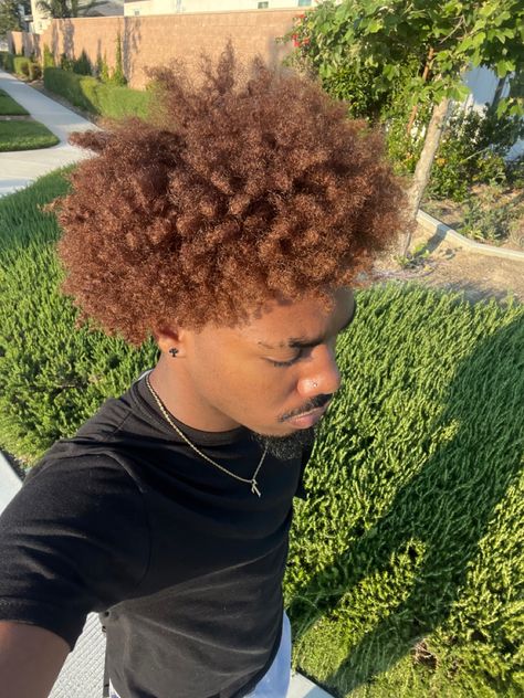 Frank Ocean Hair Color, Men Honey Blonde Hair, Hair Dye Ideas For Afro, Dark Honey Blonde Hair Color, Brown Hair Men Black, Honey Gold Brown Hair, Ginger Cornrows Men, Dyed Afro Men, Brown Dyed Hair Men