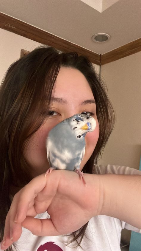 #birds #selfietime #budgies #parakeet #cutecore #cute Budgies Bird Aesthetic, Pet Budgie Aesthetic, Budgies Aesthetic, Cute Pet Birds, Bird Pet Aesthetic, Pet Bird Aesthetic, Budgie Aesthetic, Cute Budgies, Yellow Budgie