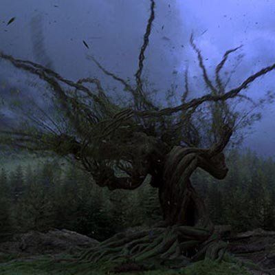 whomping willow on grounds of hogwart's school of witchcraft and wizardry, harry potter and the prisoner of azkaban, by jk rowling Whomping Willow Aesthetic, Azkaban Aesthetic, Willow Movie, The Whomping Willow, Gryffindor Tower, Shifting Methods, Whomping Willow, The Forbidden Forest, Myth Art