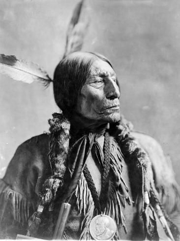 size: 12x9in Giclee Print: Wolf Robe, Cheyenne Indian Chief by Science Source : American Photo, Wilde Westen, The Old West, Indian History, Native American History, American Culture, Alam Yang Indah, American People, American Heritage