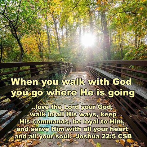 God Walks With You, He Walks With Me Bible Verse, Spiritual Walk With God, A Walk In Nature Walks The Soul, For We Walk By Faith Not By Sight, Religous Quotes, Aw Tozer, Be Loyal, Pin Inspiration