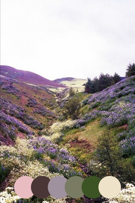 Olive Green Purple Color Scheme, Moorland Colour Palette, Purple Gray Green Color Palette, Herbs Color Palette, Dark Grey And Green Color Palette, Lilac And Sage Color Palette, Rustic Spring Color Palette, Wild Flower Colour Palette, Purple Earthy Aesthetic