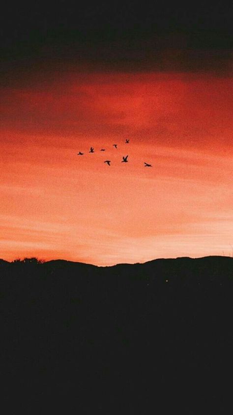 Action Wallpaper, Wallpaper Clouds, Wallpaper Sky, Orange Sky, Sunset Wallpaper, Pretty Sky, Red Sky, Tumblr Wallpaper, Love Wallpaper