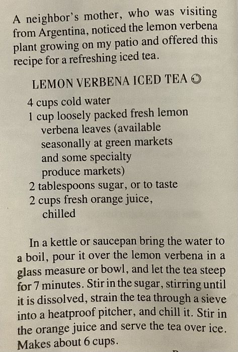 Lemon Verbena Iced Tea ( June 1993 ) Lemon Verbena Benefits, Lemon Verbena Uses, Lemon Verbena Plant, Steeped Tea, Lemon Verbena, Tea Garden, Tea Blends, Orange Juice, Iced Tea